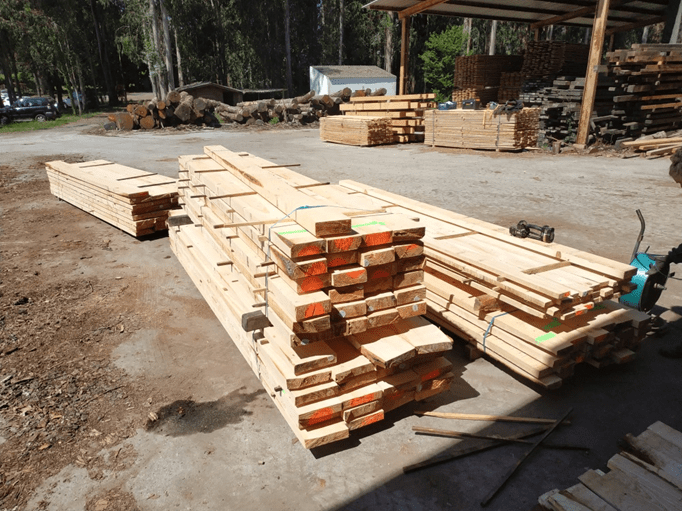 Mejoras en la gestión forestal para la calidad y la competitividad del pino marítimo