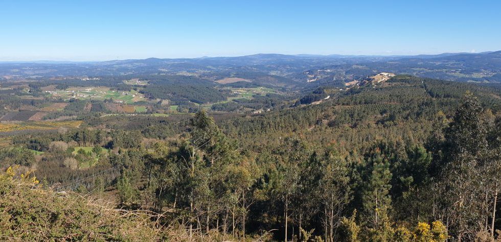 JUNTOS POR LOS BOSQUES recuerda la gran contribución de los bosques a la biodiversidad y el bienestar de la sociedad