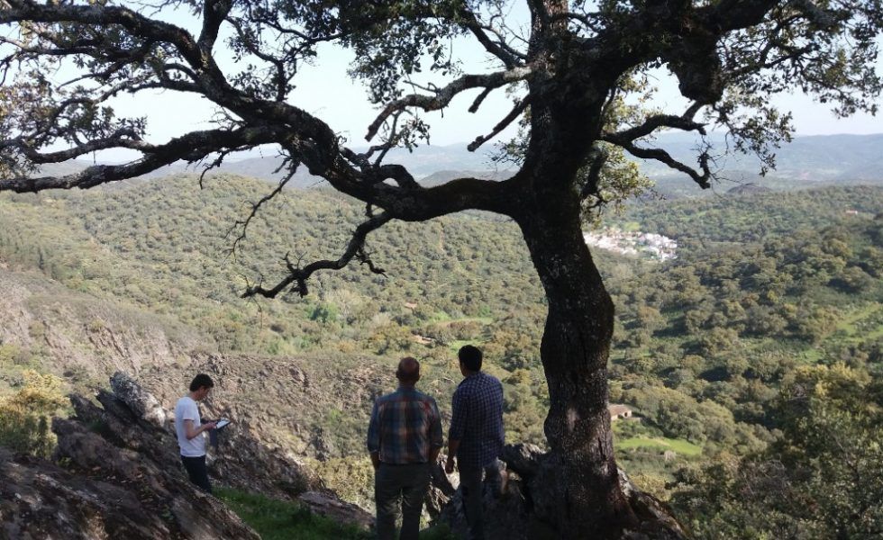 FSC organiza los primeros cursos para calcular los beneficios al ecosistema de los bosques españoles