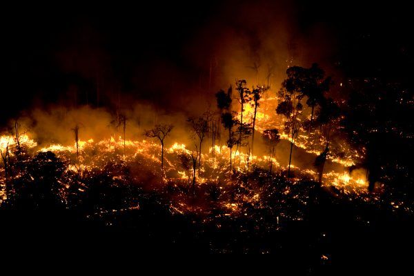 Los incendios ponen en jaque la Amazonía