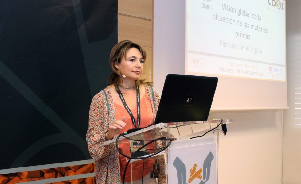 COSE defendió en EXPOBIOMASA la biomasa forestal