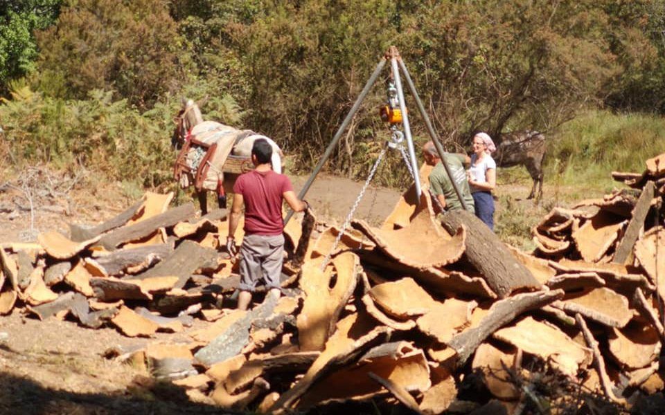 La campaña del corcho será muy productiva pero con precios ajustados