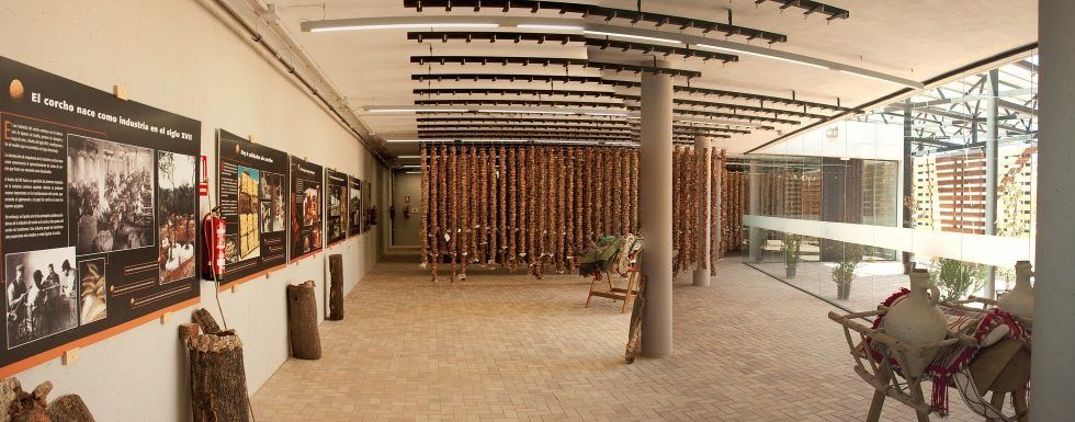 La provincia de Cádiz apuesta firme por el corcho