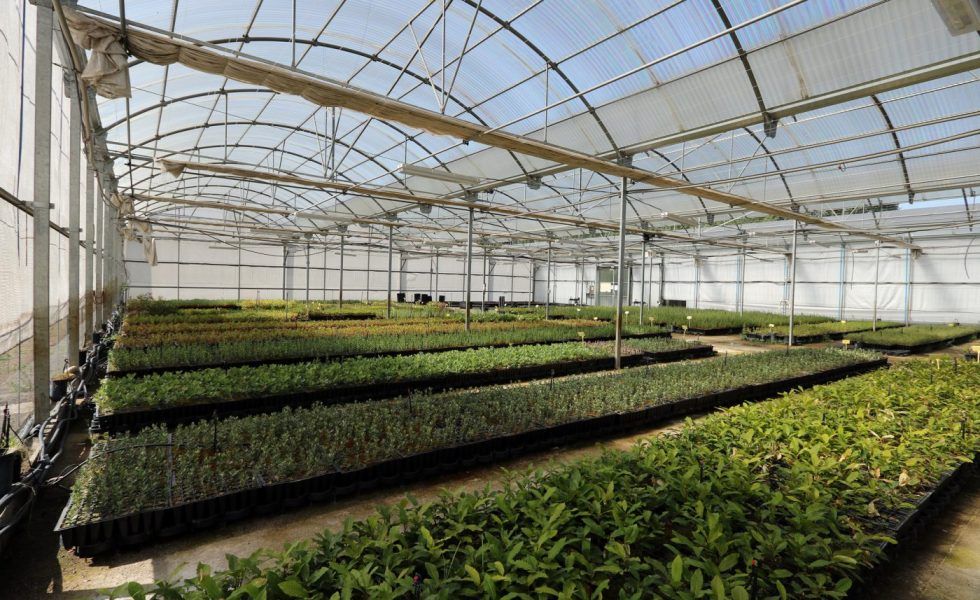 BOSQUES NATURALES propone a sus clientes que se conviertan en dueños de la empresa para sacar adelante el proyecto