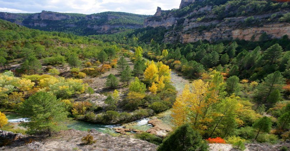 El Parque Natural del Alto Tajo absorbe y recicla cada año más de 500.000 toneladas de CO2