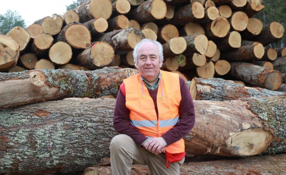 Despoblación y bosques productivos