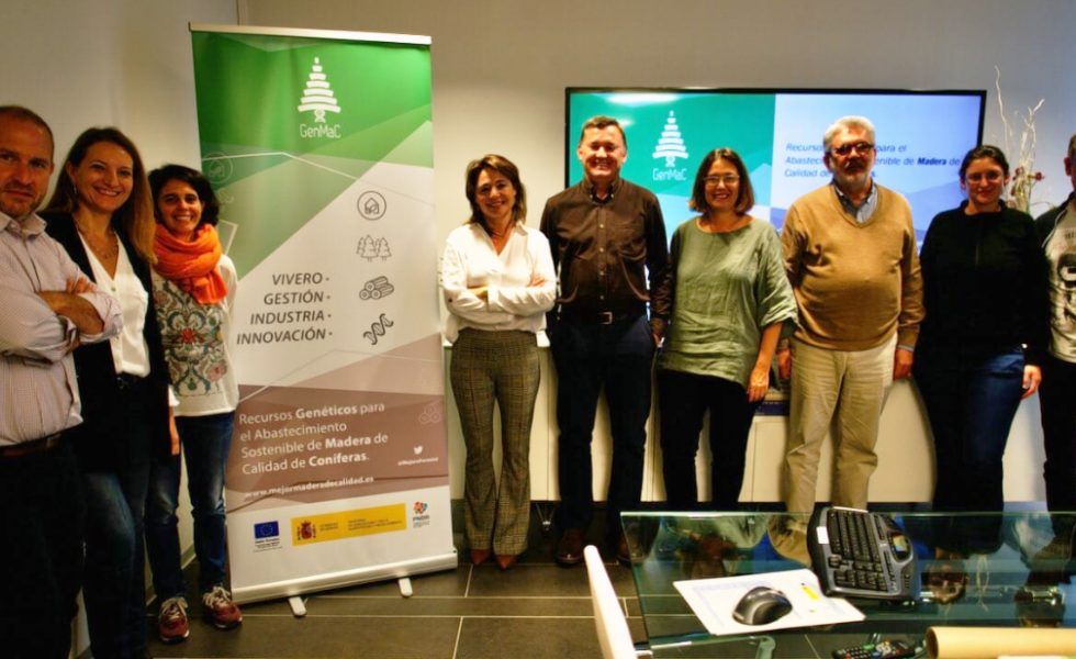 Madera local de calidad de coníferas para el presente y el futuro