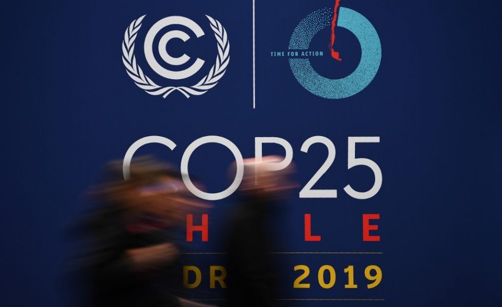 El sector forestal presenta el potencial de los bosques contra el cambio climático