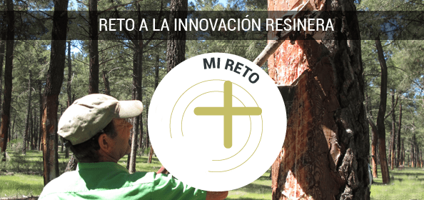 Tormenta de ideas para la innovación del sector resinero