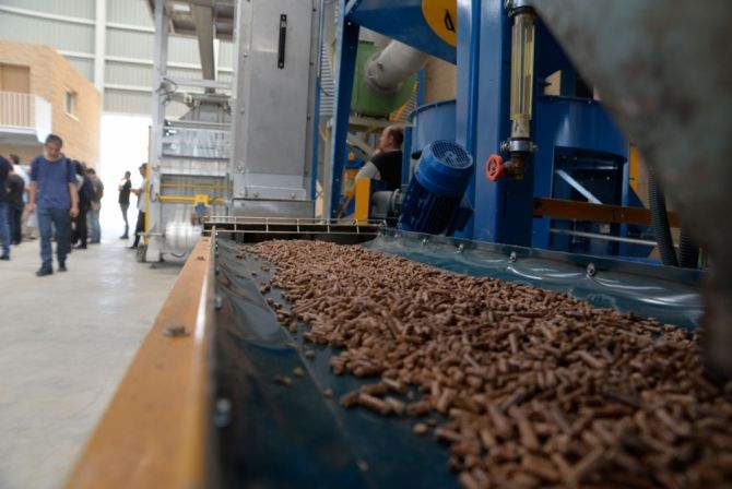 SUNWOOD BIOMASA ENERGIA, S.L. entra en concurso de acreedores