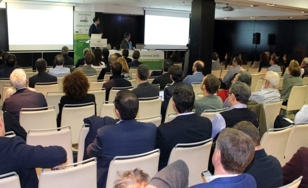 Gran afluencia a la tradicional jornada de AEIM previa a su asamblea general