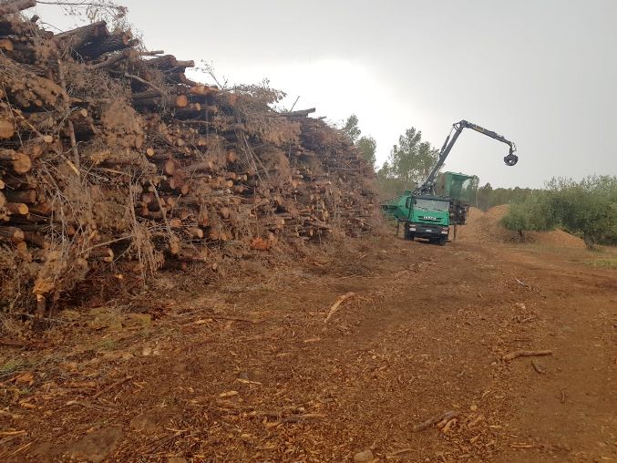 BIOPLAT celebra el fin de la incertidumbre en el sector de la biomasa