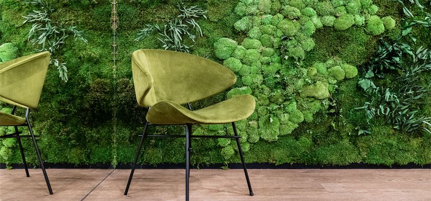 Conexión visual con la naturaleza