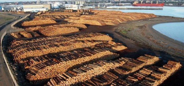 La industria maderera china se está recuperando gradualmente