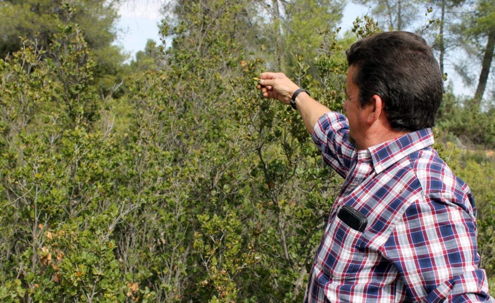 “El Rastro Rostro de la tierra”, seis historias de personas y bosques
