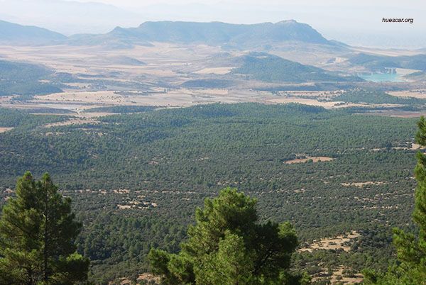 Estrategias desde la propiedad forestal para poner en valor la madera y otros recursos forestales