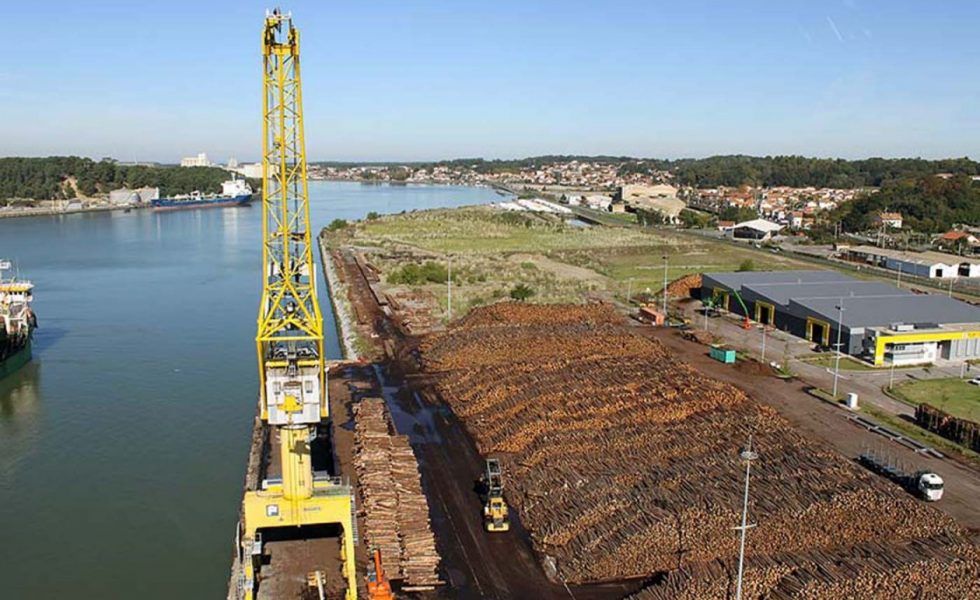 El puerto de Baiona presenta su potencialidad para la madera a ADEMAN