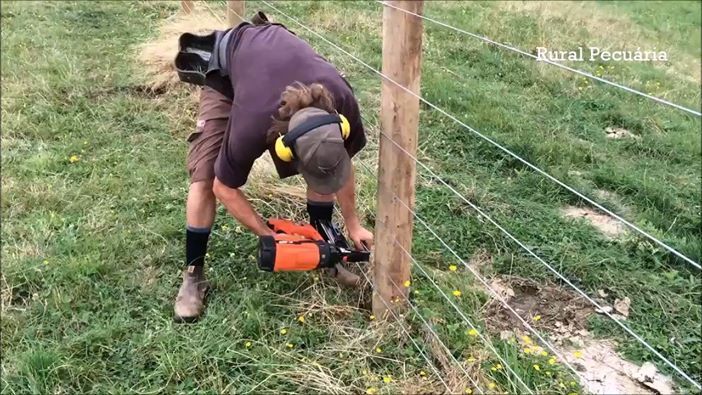 Nuevo perfil en redes sociales de RED HEAD y STOCKade