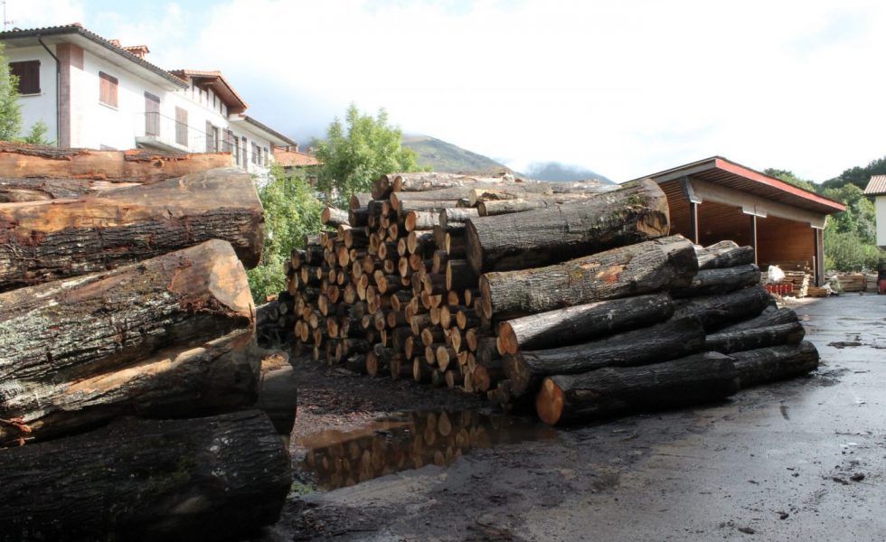 ADEMAN impulsa el proyecto INNOMADERA Navarra