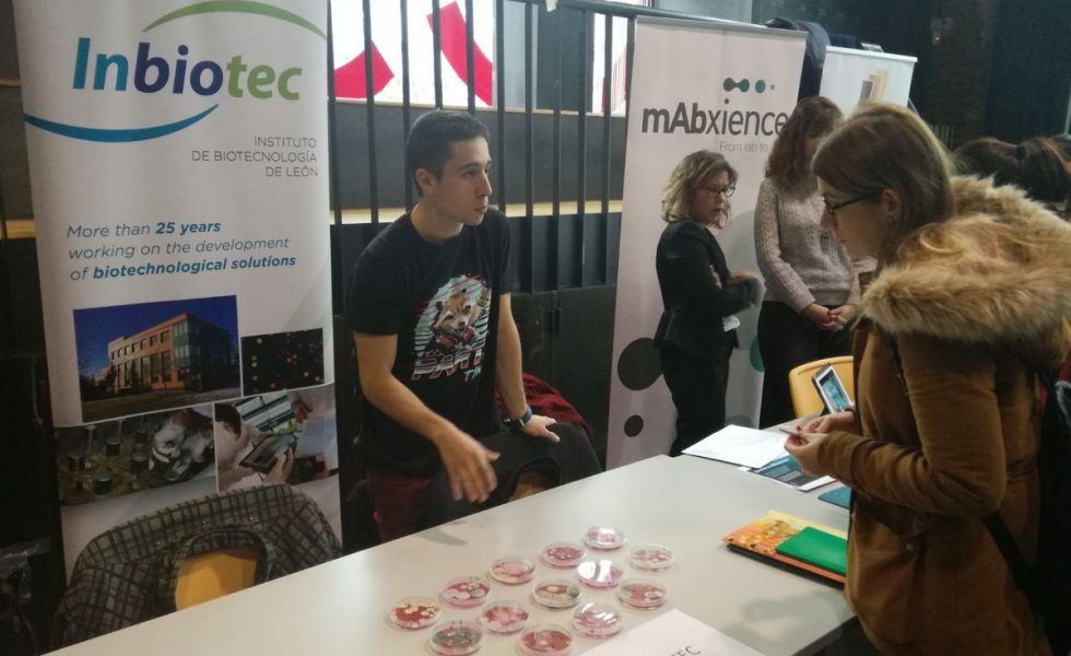 Grandes avances para lograr proteger la madera contra la degradación