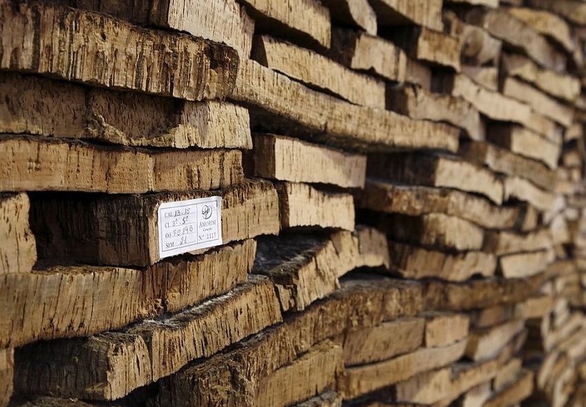 Nace la plataforma para la promoción de productos forestales no madereros