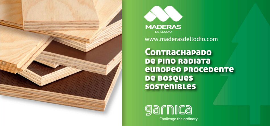 MADERAS DE LLODIO lanza dos nuevos productos de pino radiata europeo