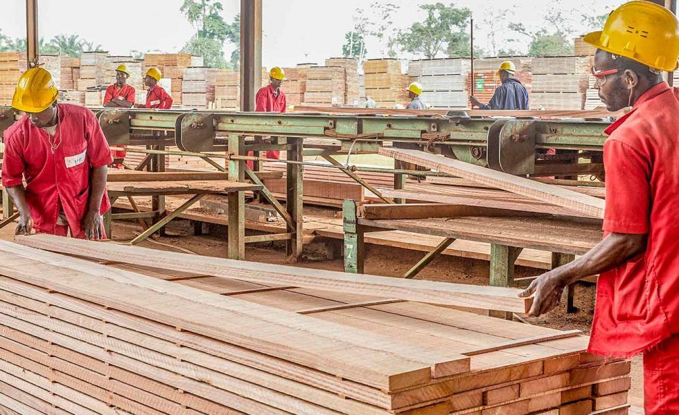 Los gestores forestales de FAIR&PRECIOUS luchan contra el COVID-19 en Africa central