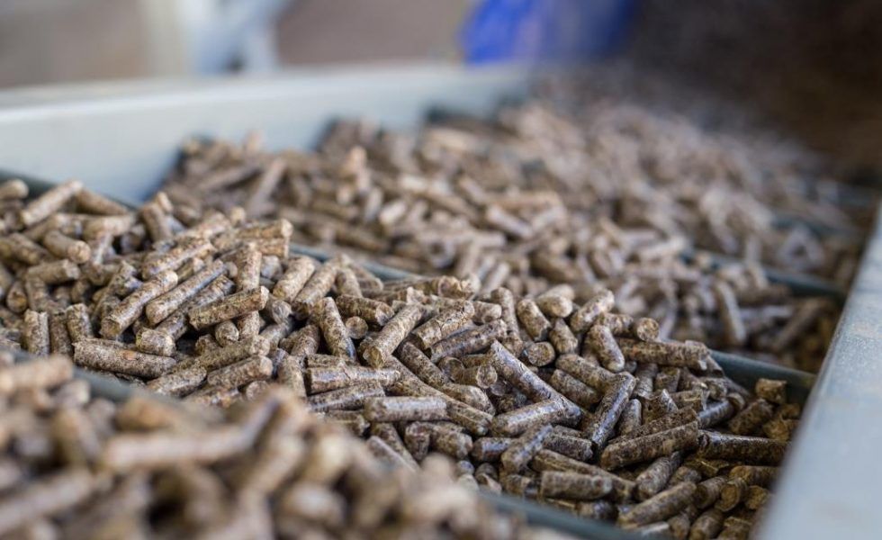 Aumenta el consumo de pellet en España