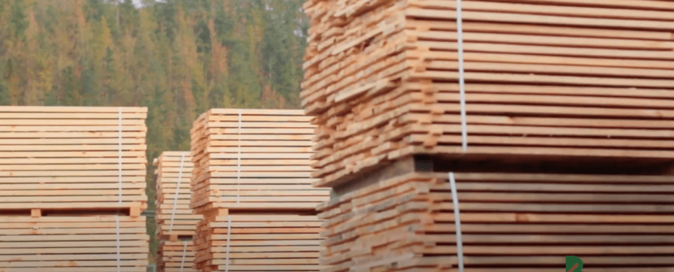 La demanda de madera en Europa se mantiene firme por la actividad de la construcción