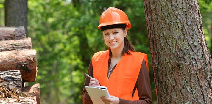 El COITF se opone frontalmente al Proyecto de Real Decreto de las Enseñanzas Oficiales del Sistema Universitario Español