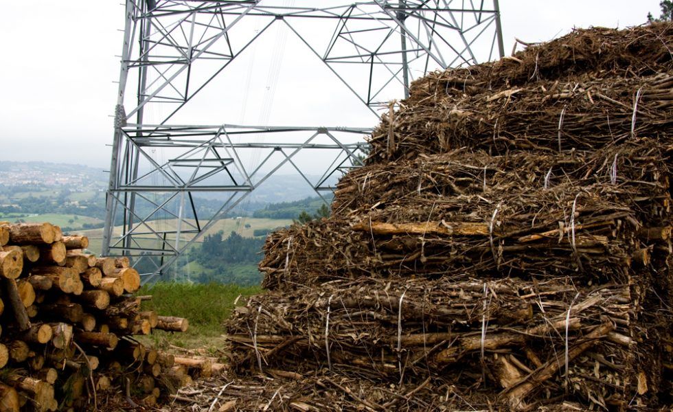 La generación eléctrica con biomasa en la transición energética española