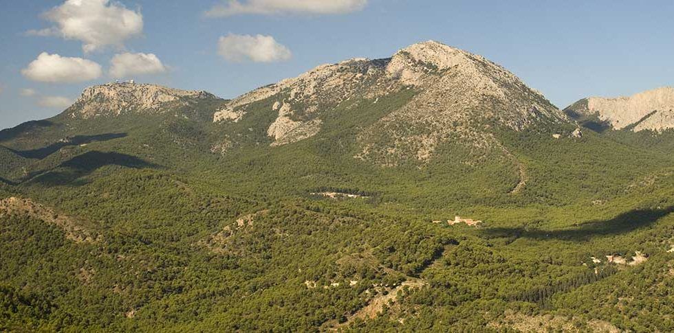 El Foro de Bosques y Cambio Climático organiza una jornada sobre el Proyecto LIFE FOREST CO2