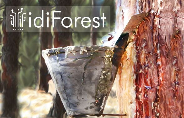 Las jornadas idiForest se celebrarán en septiembre