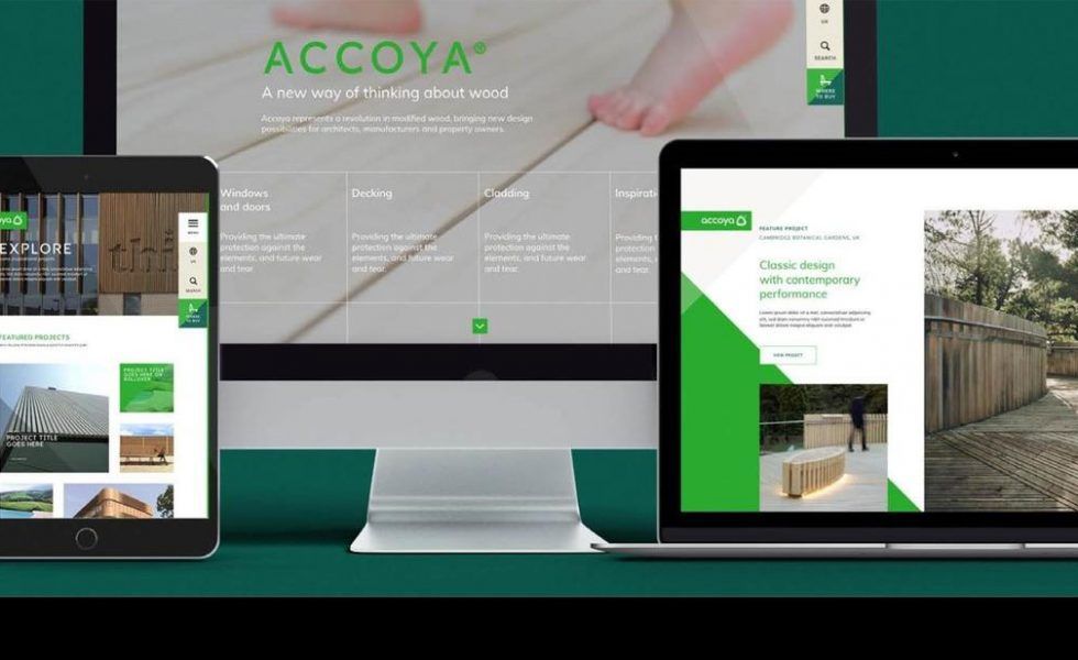 Nuevo sitio web de ACCOYA®