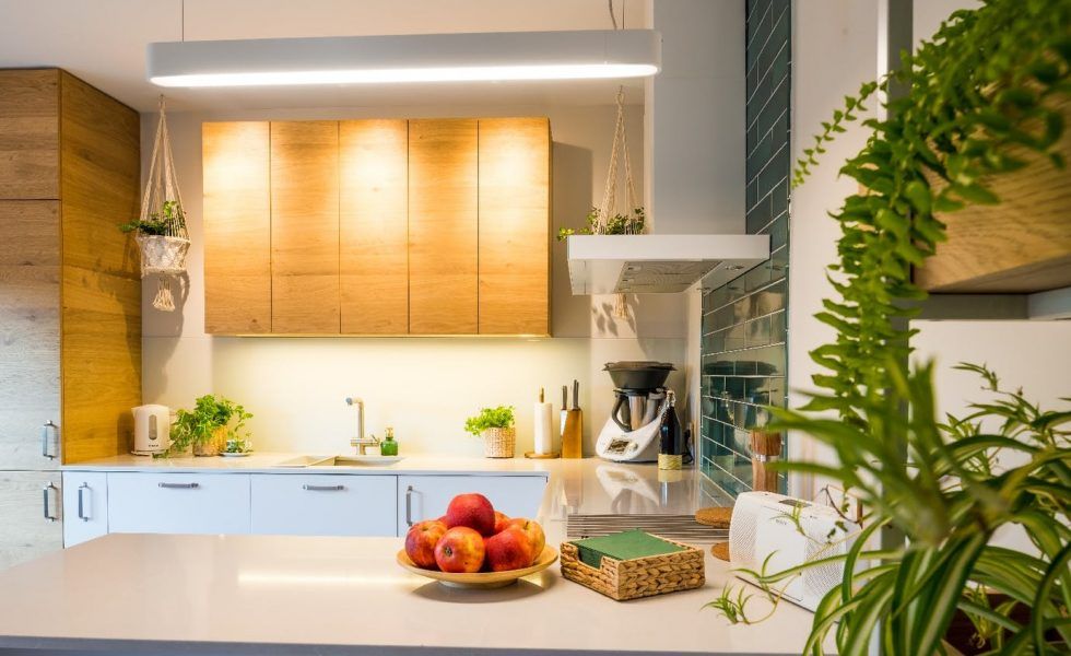 Ideas y beneficios de tener un huerto vertical en tu cocina