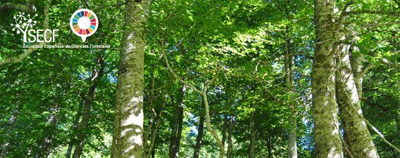 La Ciencia Forestal y su contribución a los Objetivos de Desarrollo Sostenible