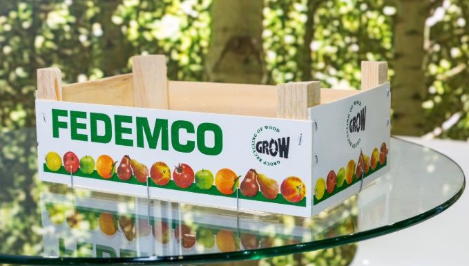 La madera es el único material que tiene propiedades antimicrobianas