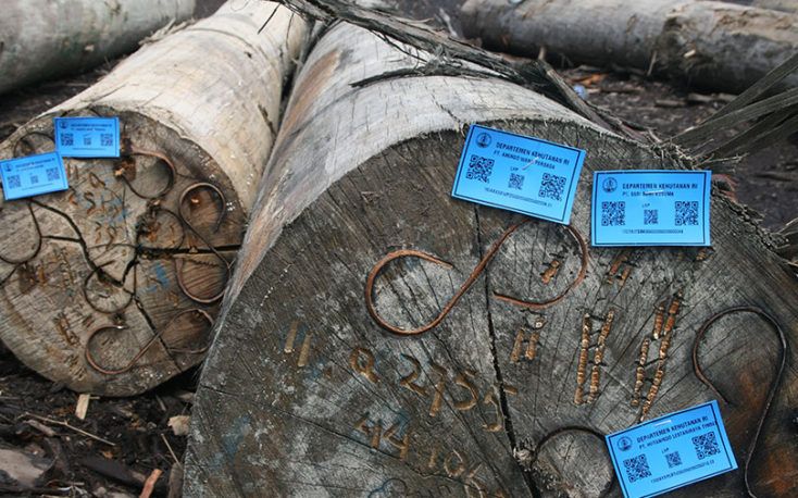 Ejecución de la certificación FLEGT REDD en la República Democrática del Congo