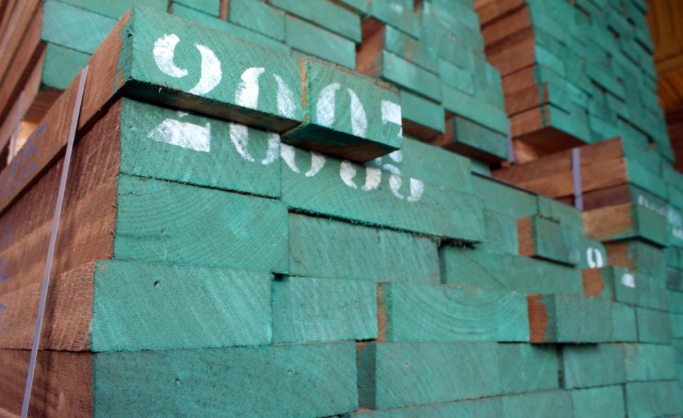 INVOICEGREEN activa el mercado del Iroko seco de marca SIM