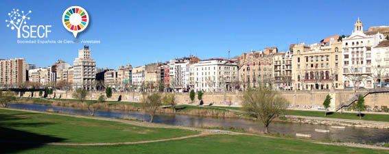 Ampliado el plazo de presentación de resúmenes al 8CFE