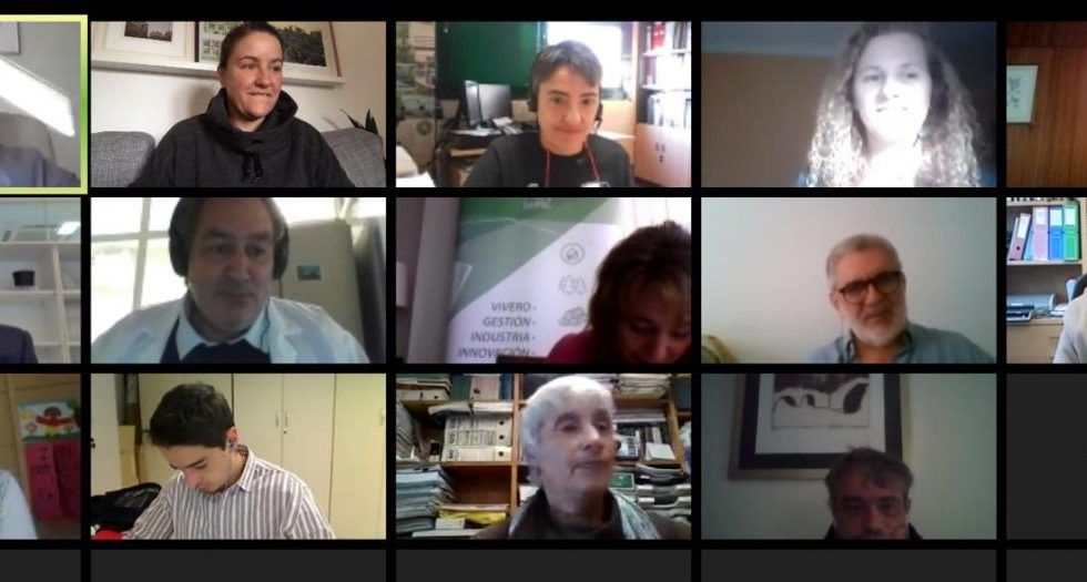 El sector considera imprescindible emplear materiales forestales de reproducción de mayor categoría para suministrar madera de calidad