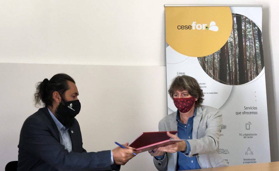 SORIA aspira a ser una capital europea forestal