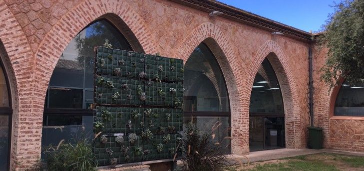 Cubierta verde con corcho como soporte, aprovechando sus características aislantes y bioabsorbentes