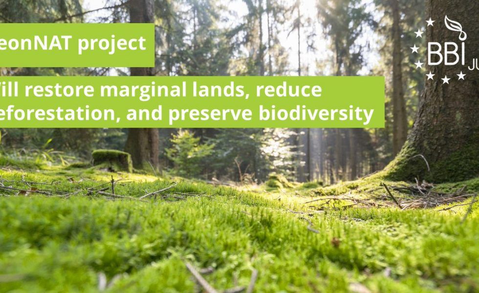 PEFC participa como socio en BeonNat