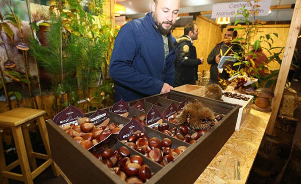 El Bierzo se prepara para acoger BIOCASTANEA