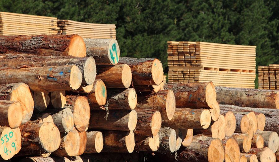 El precio de la madera aumentó en el cuarto trimestre de 2020