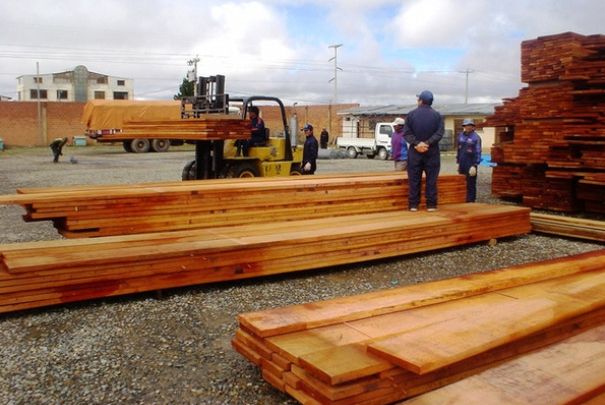 Bolivia expresa en Europa su interés por firmar el reglamento FLEGT