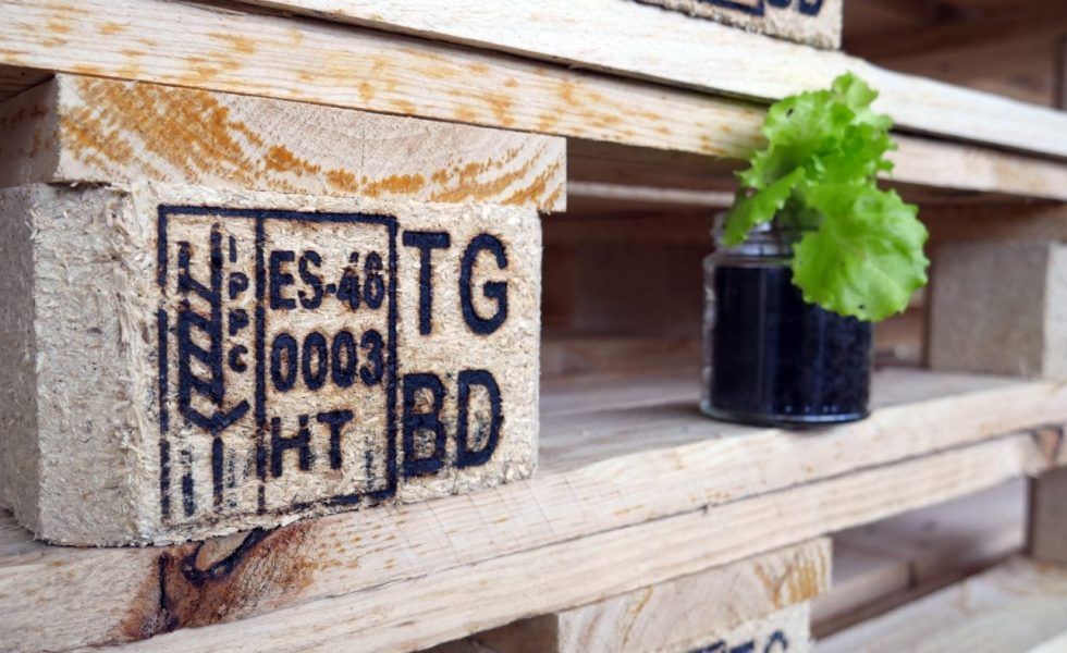 Fons Ceelaert (FEFPEB): “La industria ya está en camino de utilizar principalmente madera certificada”