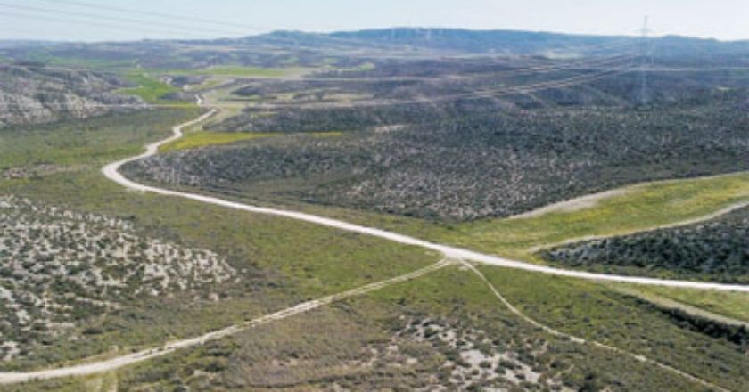 El Colegio de Ingenieros de Montes de Aragón denuncia la ilegalidad del Decreto de regulación de la RED NATURA 2000