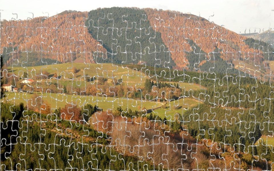 BASOA organiza la jornada “Custodia agrupada de la gestión forestal”